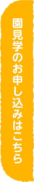 園見学のお申し込みはこちら